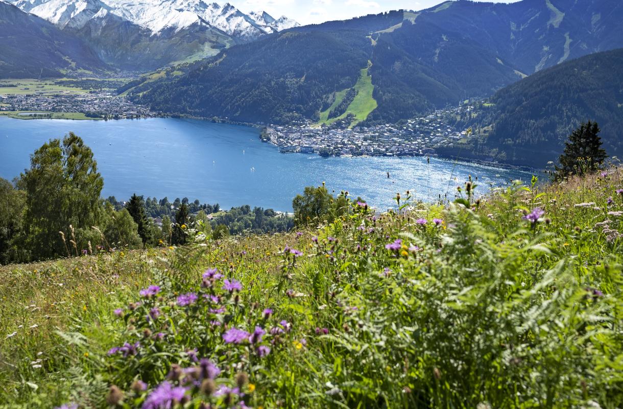 Hauptmotiv-Hochformat Sommer in Zell am See-Kaprun - Summer in Zell am See-Kaprun (c) Nikolaus Faistauer Photography_original