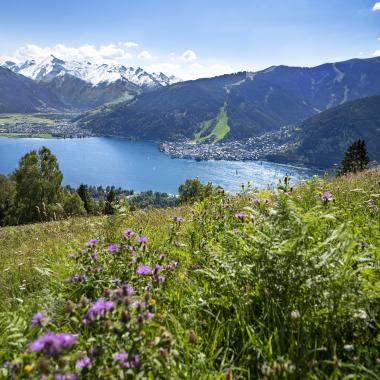 Hauptmotiv-Hochformat Sommer in Zell am See-Kaprun - Summer in Zell am See-Kaprun (c) Nikolaus Faistauer Photography_original