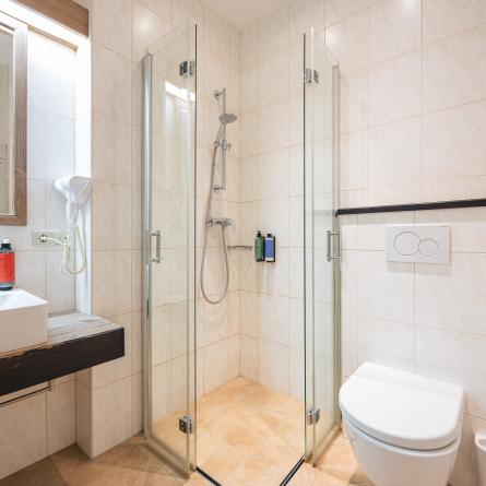 Hotel Neue Post, Upside Down Town Hotel Zell am See 20240625-neue-post-111-JOE