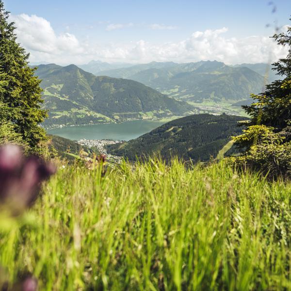 panoramaaussicht-von-der-schmittenhohe---panoramic-view-from-schmittenhohe-c-zell-am-see-kaprun-tourismus_original
